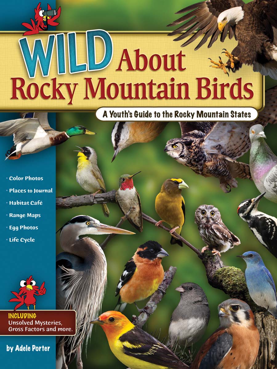 Wild About Rocky Mountains Bird